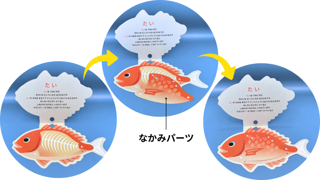 ペーパークラフトおさかな名刺・なかみパーツ